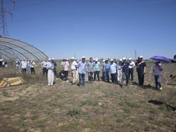 香港六合彩资料论坛