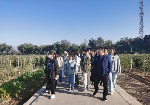 香港六合彩资料论坛