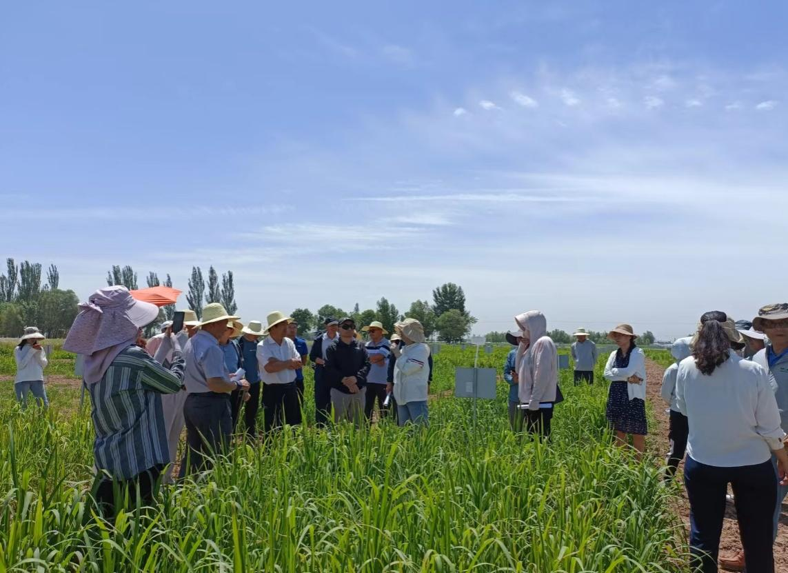 香港六合彩资料论坛