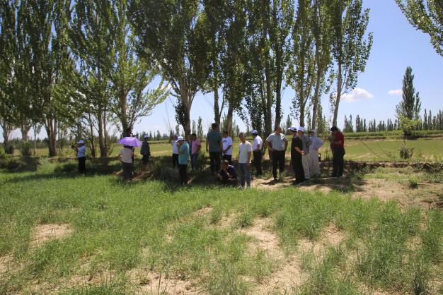 香港六合彩资料论坛