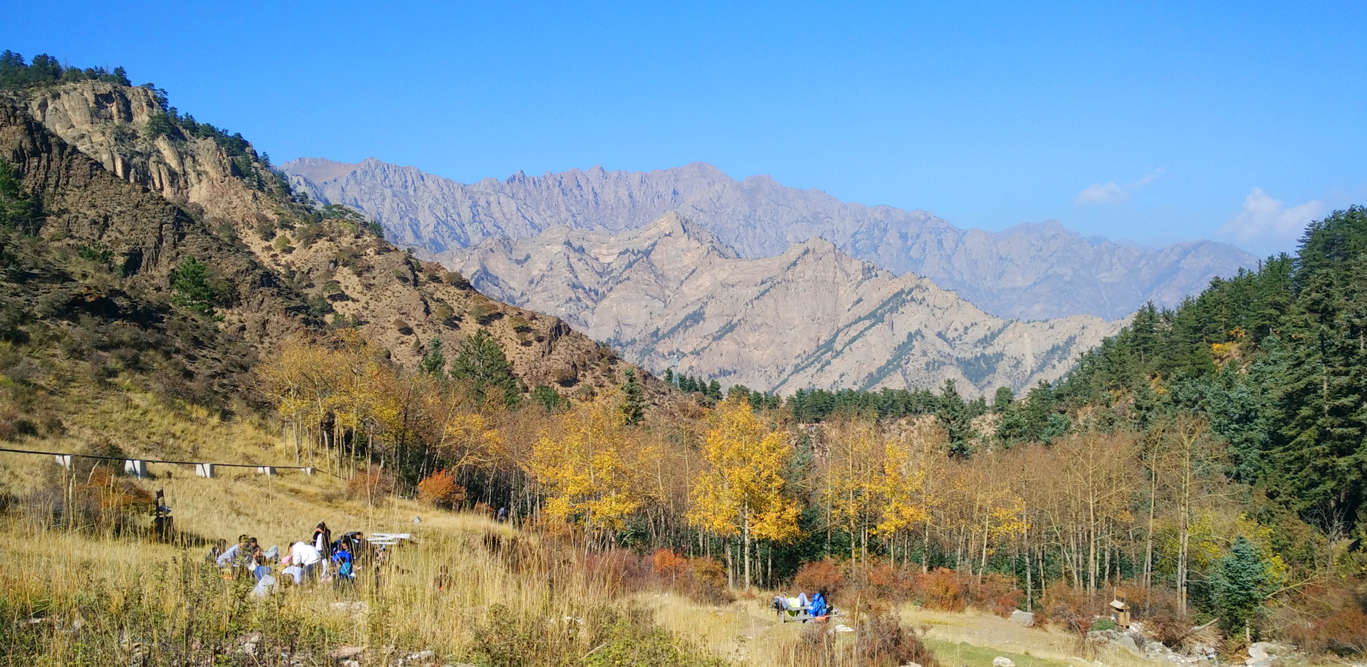 香港六合彩资料论坛